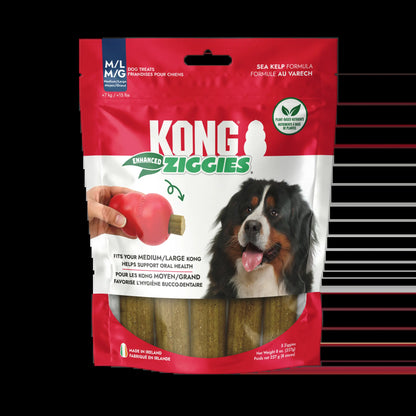 KONG Enhanced Ziggies Plant Based Dog Chew Treat, 5 Count, Large/Medium Dogs